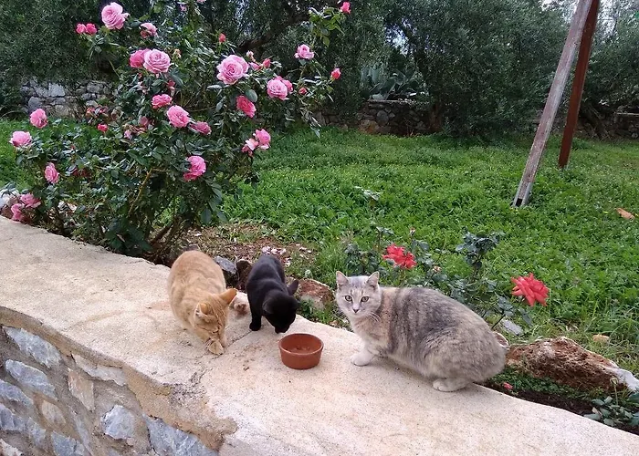 Pirgoi Edem 4* Pírgos Dhiroú